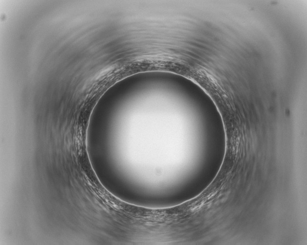 X0000087061062200704251023