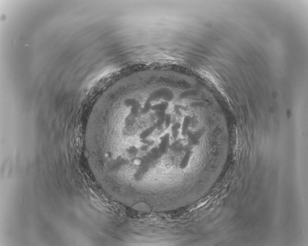 X0000087061063200704251023