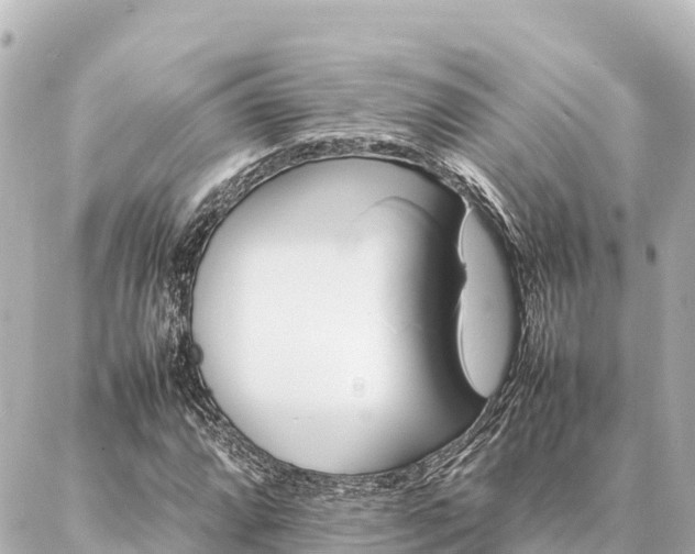 X0000087061064200704251023