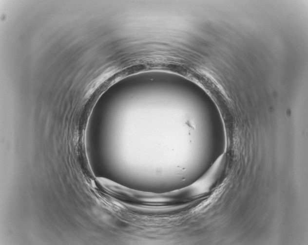 X0000087061065200704251023