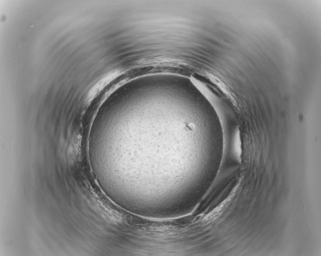 X0000087061066200704251023