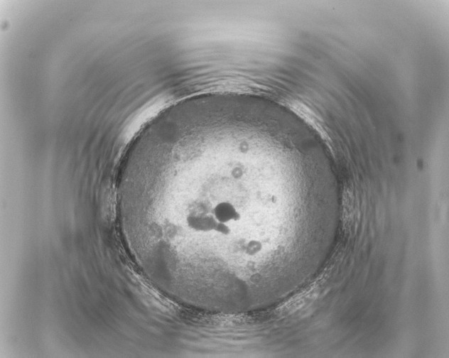 X0000087061067200704251023