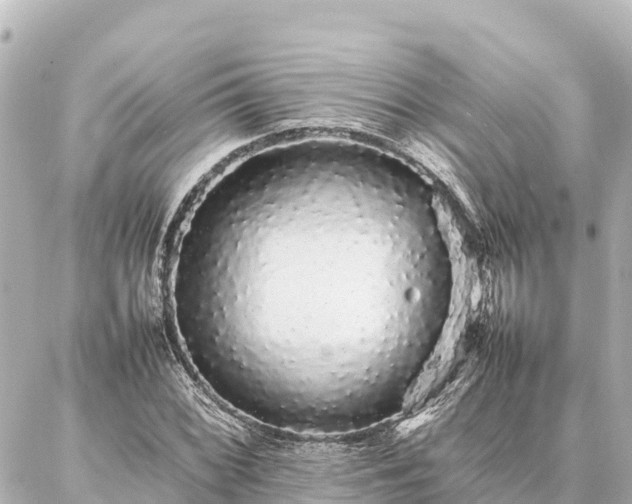 X0000087061068200704251023