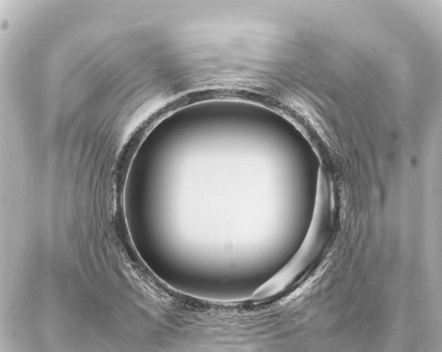 X0000087061069200704251023