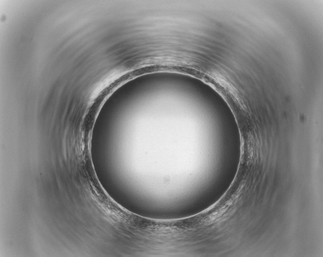 X0000087061070200704251023