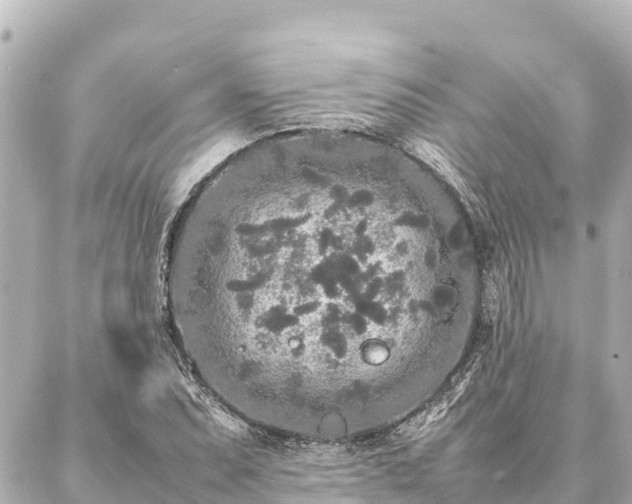 X0000087061071200704251023