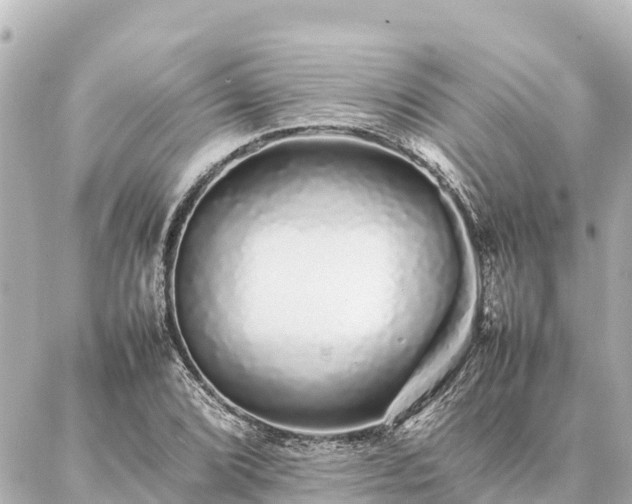 X0000087061072200704251023