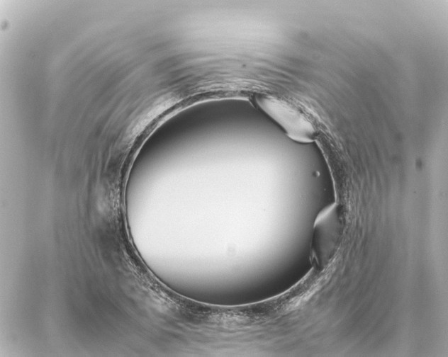 X0000087061073200704251023