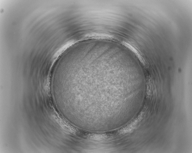 X0000087061074200704251023