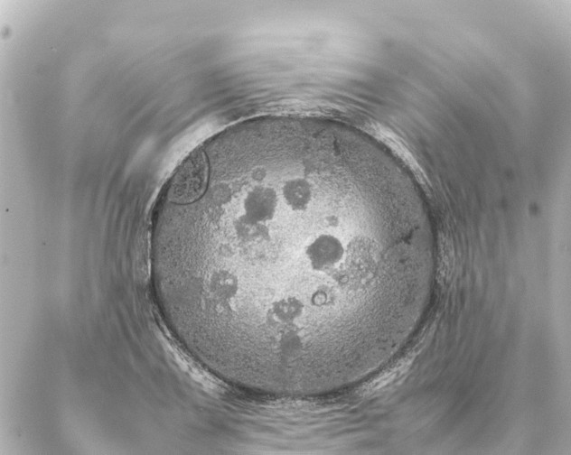 X0000087061075200704251023