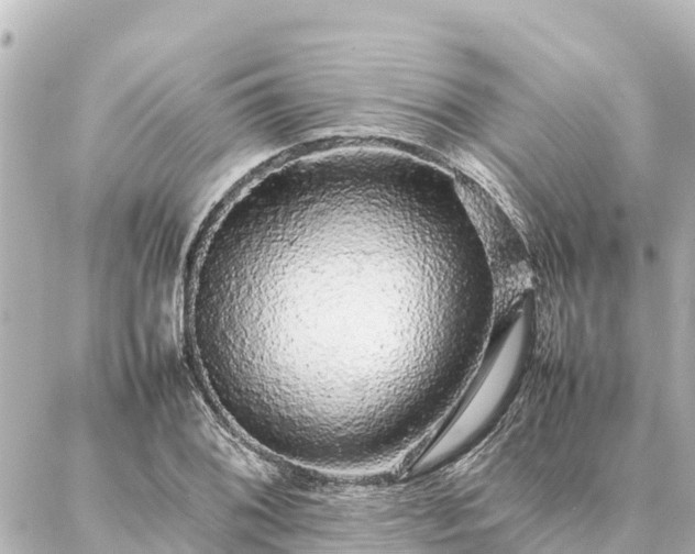 X0000087061076200704251023