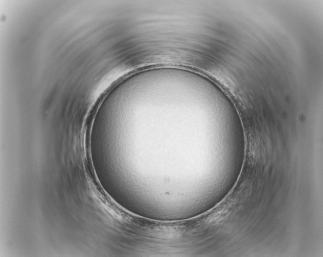 X0000087061078200704251023