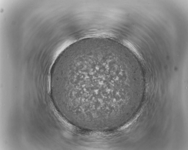 X0000087061079200704251023