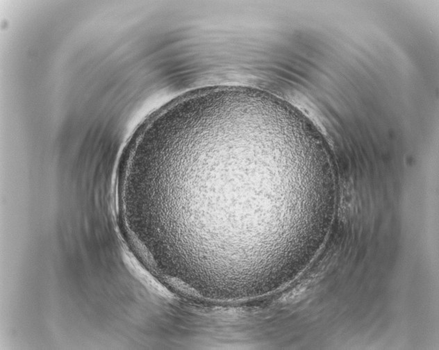 X0000087061080200704251023