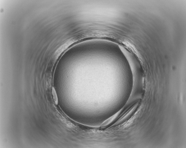 X0000087061081200704251023