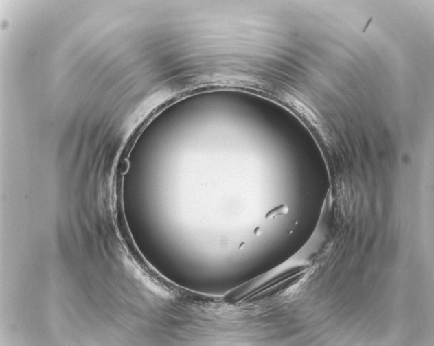 X0000087061082200704251023