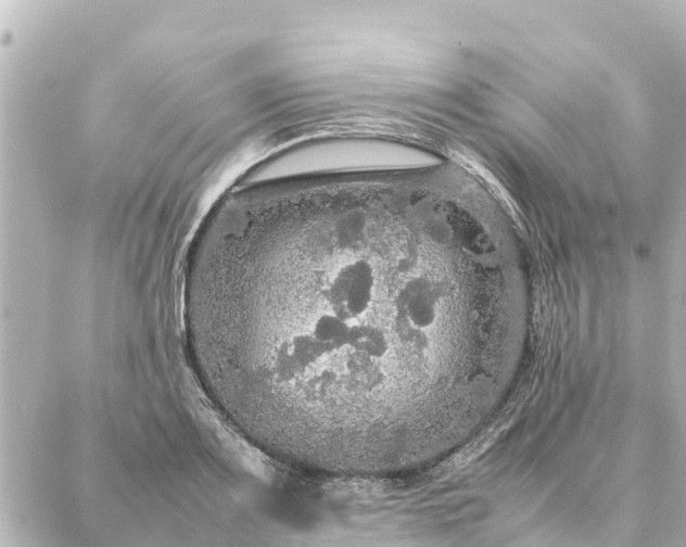 X0000087061083200704251023