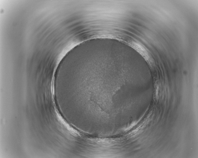 X0000087061084200704251023