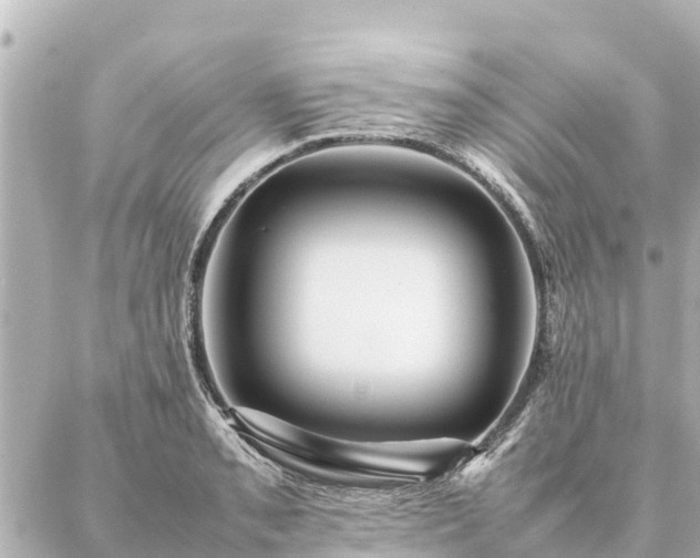 X0000087061085200704251023