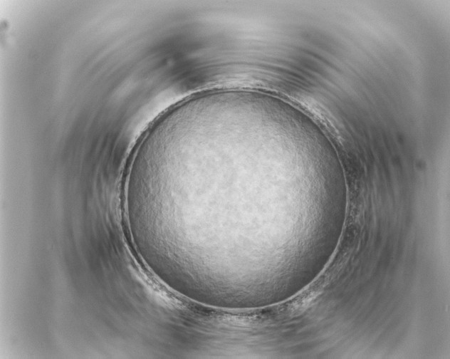 X0000087061086200704251023