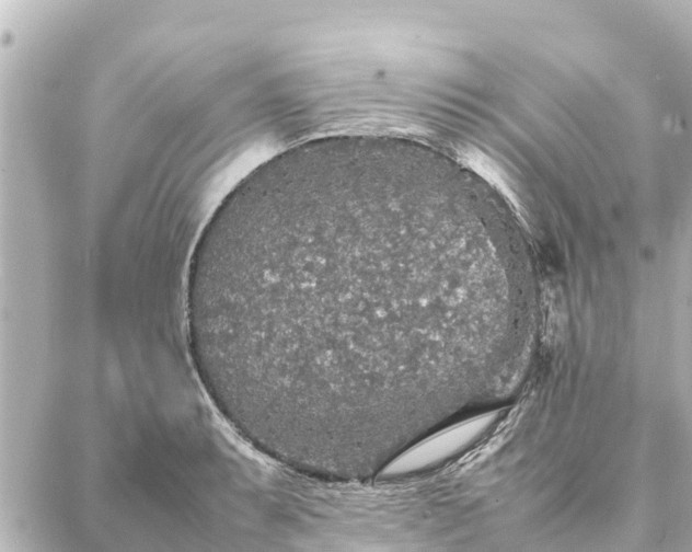 X0000087061087200704251023