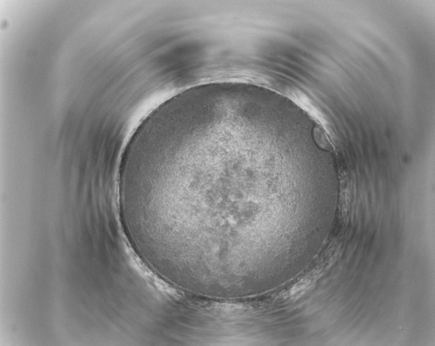 X0000087061088200704251023