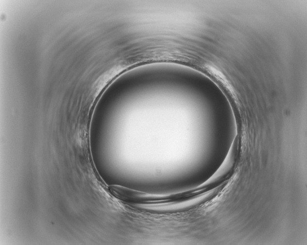 X0000087061089200704251023