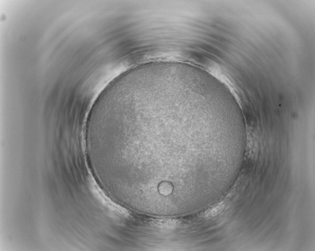 X0000087061090200704251023