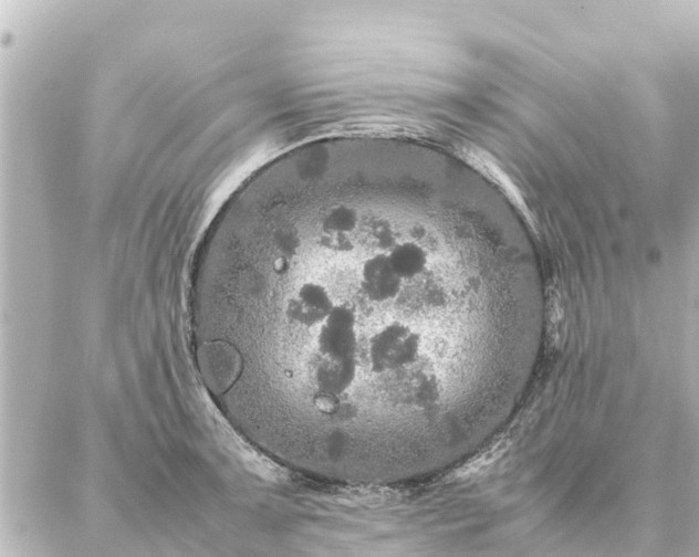 X0000087061091200704251023