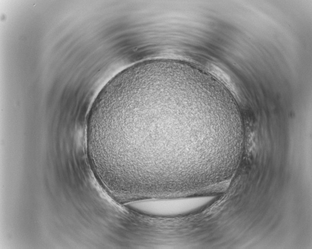 X0000087061092200704251023