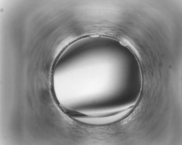 X0000087061093200704251023