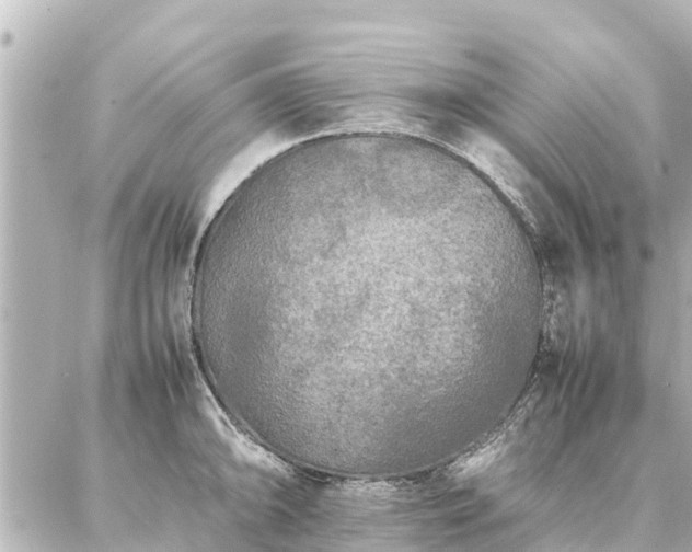 X0000087061094200704251023