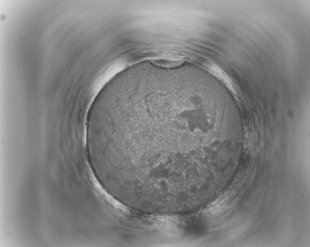 X0000087061095200704251023