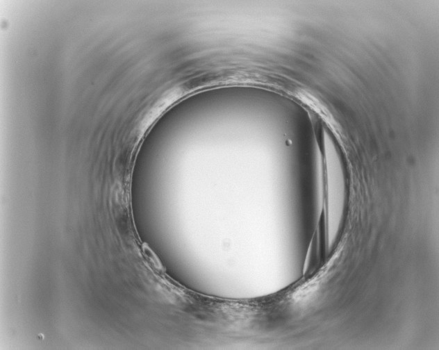 X0000087061097200704251023