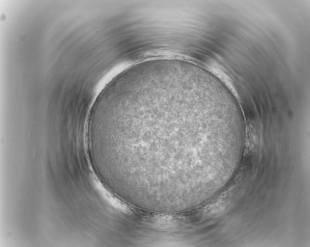 X0000087061098200704251023