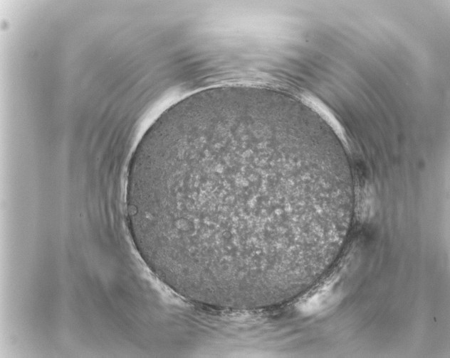 X0000087061099200704251023