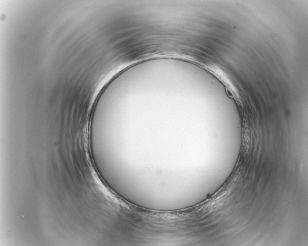 X0000087061100200704251023