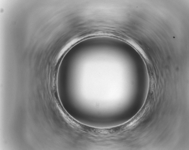 X0000087061101200704251023