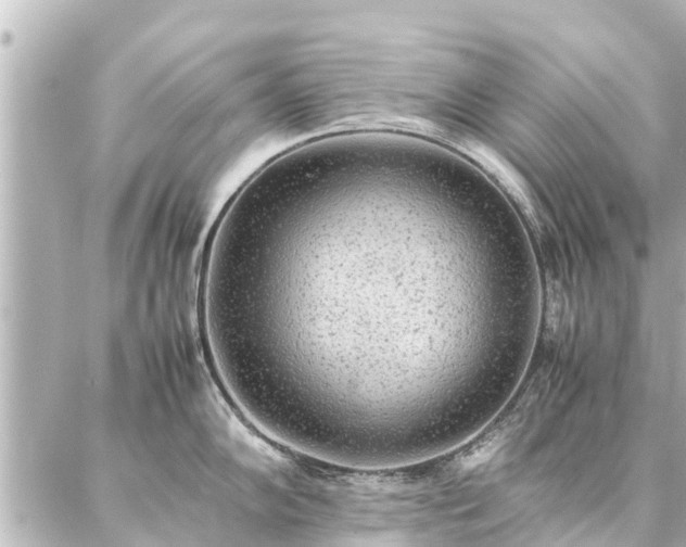 X0000087061102200704251023