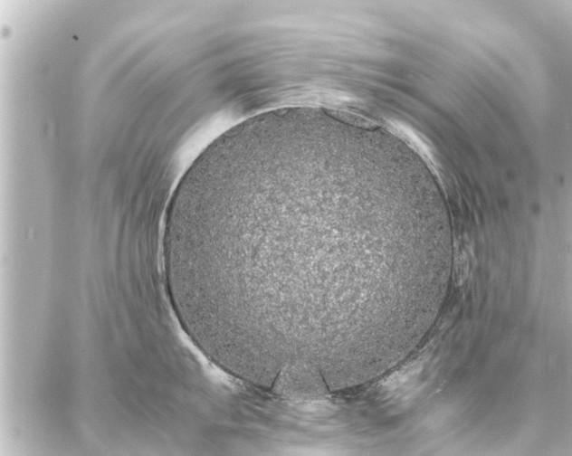 X0000087061103200704251023