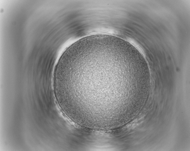 X0000087061104200704251023