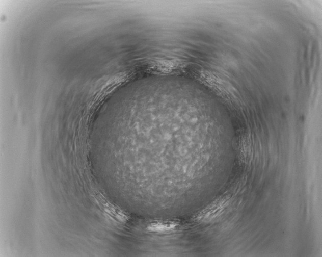 X0000087061105200704251022