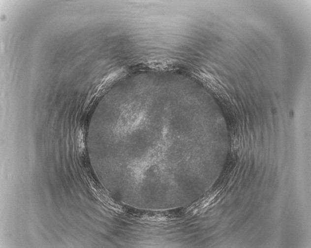 X0000087061106200704251022