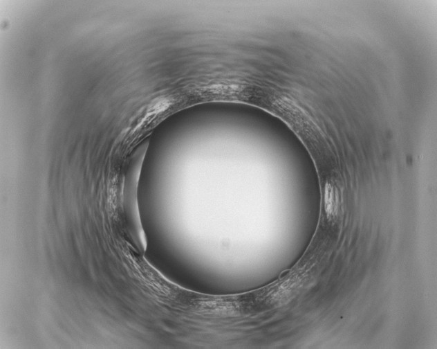 X0000087061107200704251022