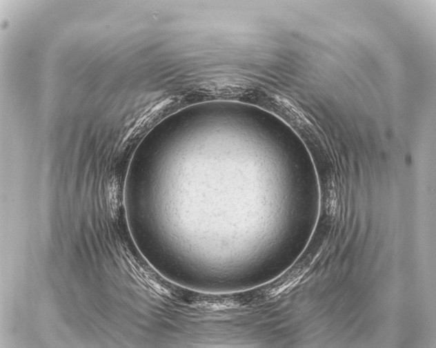 X0000087061108200704251022