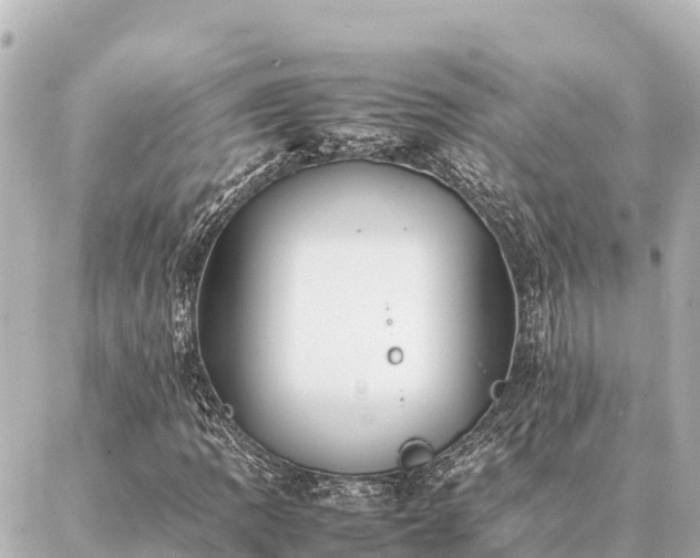 X0000087061109200704251022