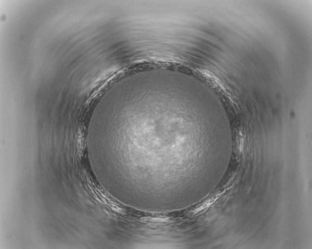 X0000087061110200704251022