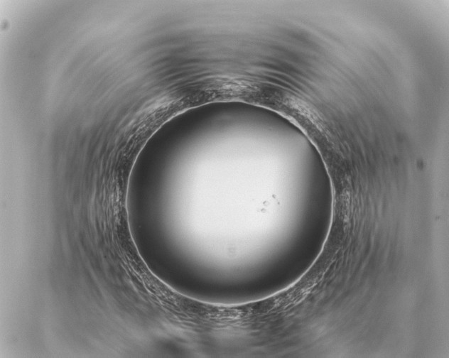 X0000087061111200704251022