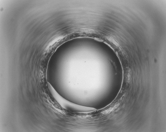 X0000087061112200704251022