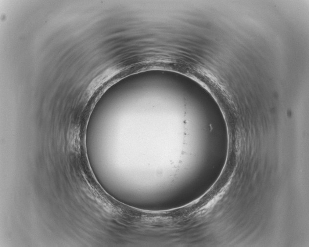 X0000087061113200704251022